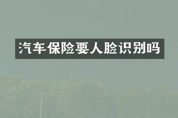 汽车保险要人脸识别吗