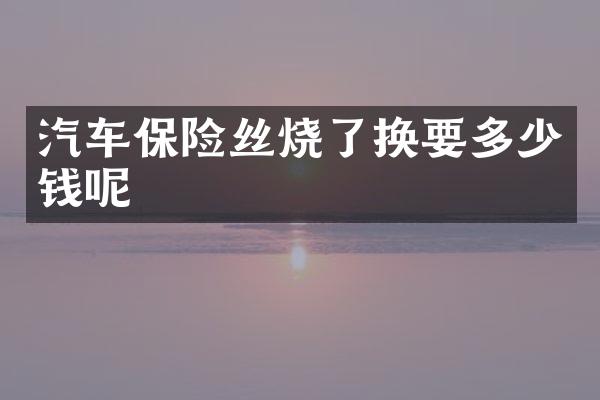 汽车保险丝烧了换要多少钱呢