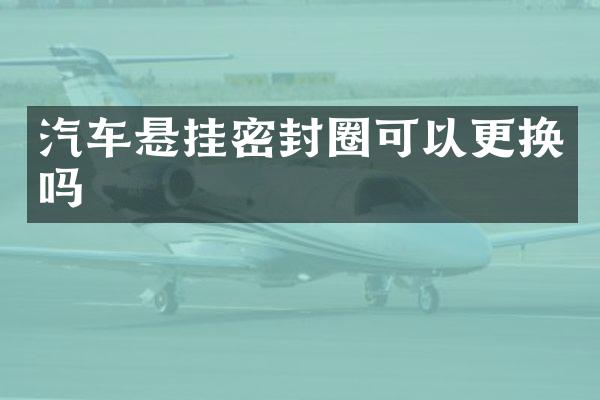 汽车悬挂密封圈可以更换吗