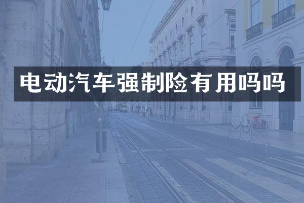 电动汽车强制险有用吗吗
