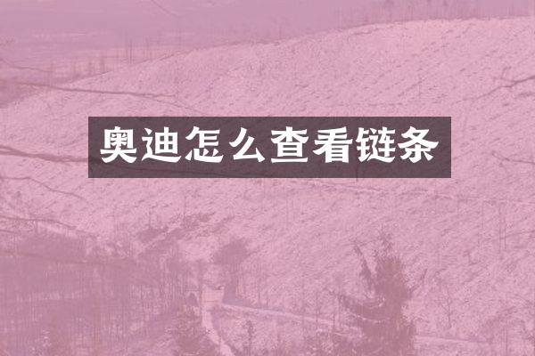 奥迪怎么查看链条