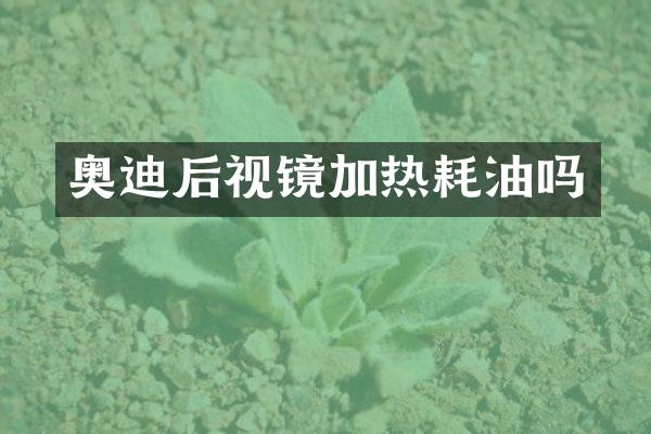 奥迪后视镜加热耗油吗