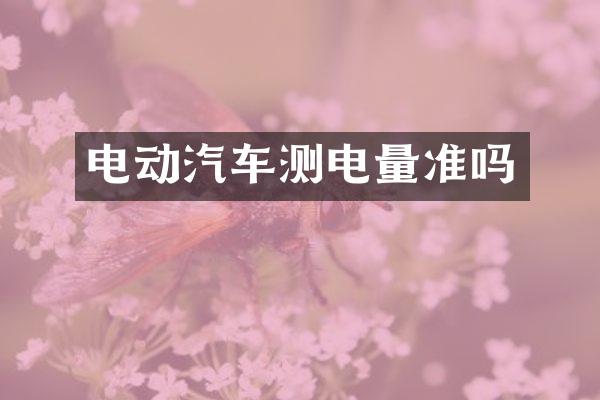 电动汽车测电量准吗