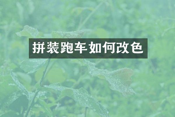 拼装跑车如何改色