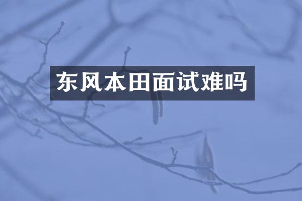 东风本田面试难吗