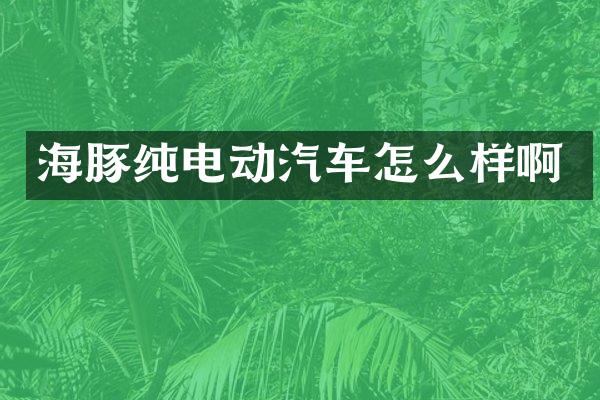 海豚纯电动汽车怎么样啊