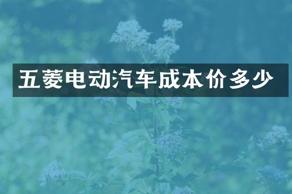 五菱电动汽车成本价多少