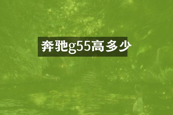 奔驰g55高多少