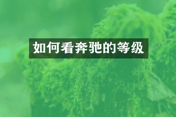 如何看奔驰的等级