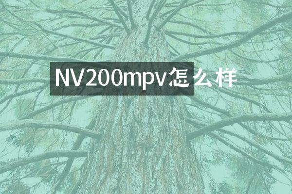 NV200mpv怎么样