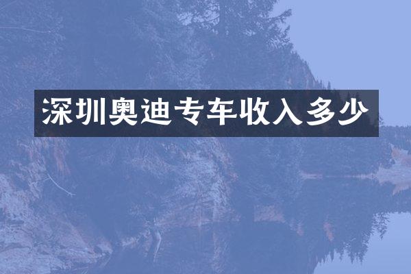 深圳奥迪专车收入多少