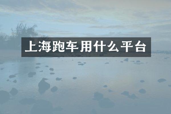 上海跑车用什么平台