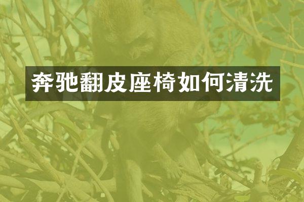 奔驰翻皮座椅如何清洗