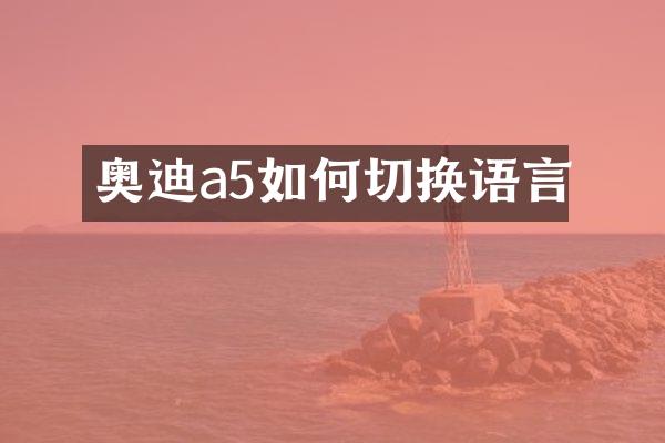 奥迪a5如何切换语言