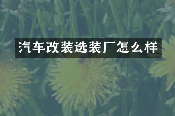 汽车改装选装厂怎么样