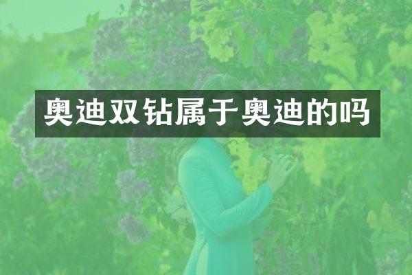 奥迪双钻属于奥迪的吗