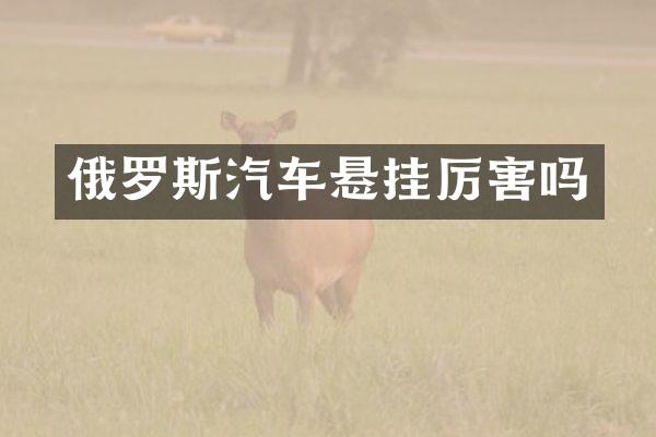 俄罗斯汽车悬挂厉害吗