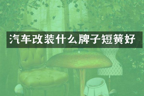 汽车改装什么牌子短簧好