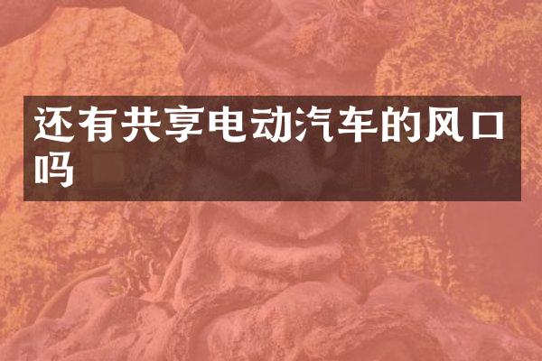 还有共享电动汽车的风口吗