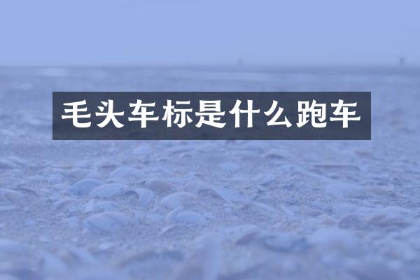 毛头车标是什么跑车
