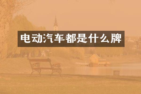 电动汽车都是什么牌
