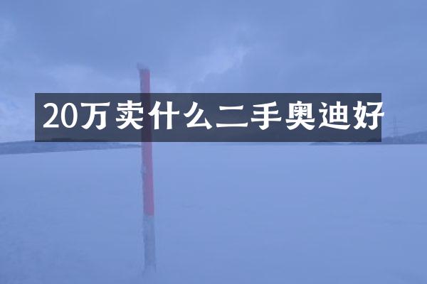 20万卖什么二手奥迪好