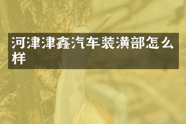河津津鑫汽车装潢部怎么样