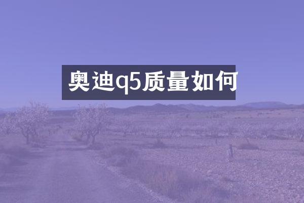 奥迪q5质量如何