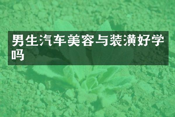 男生汽车美容与装潢好学吗