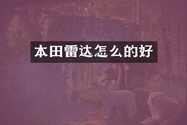 本田雷达怎么的好