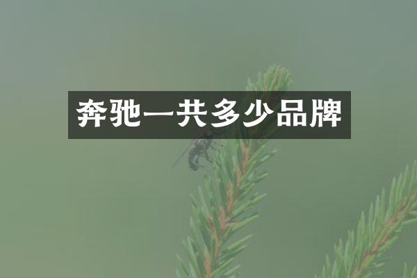 奔驰一共多少品牌