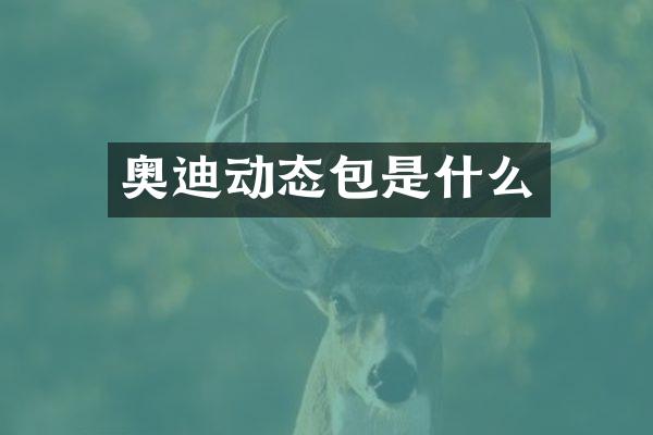 奥迪动态包是什么