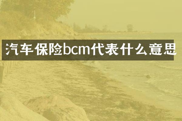 汽车保险bcm代表什么意思
