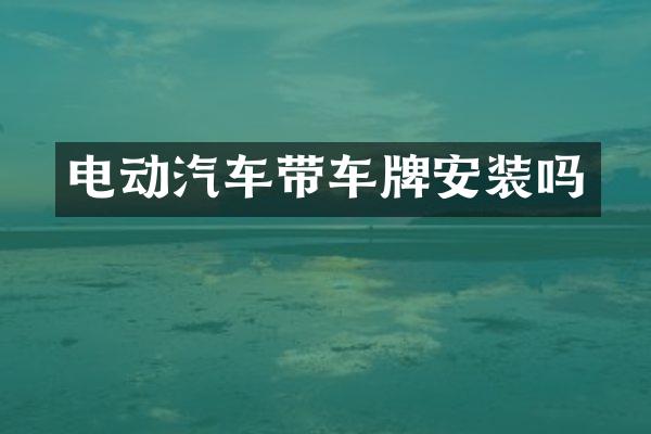 电动汽车带车牌安装吗