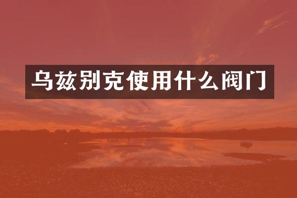 乌兹别克使用什么阀门