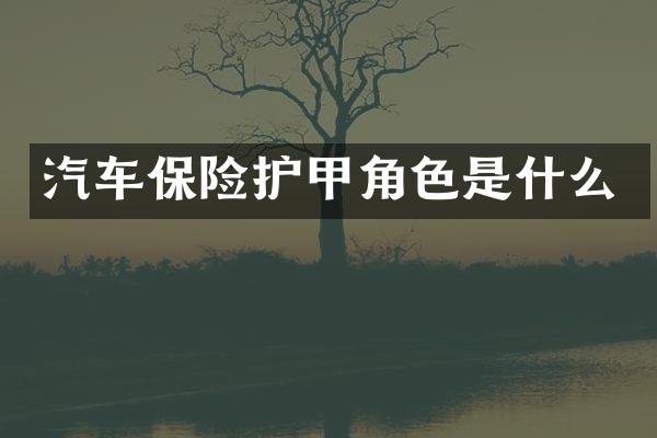 汽车保险护甲角色是什么