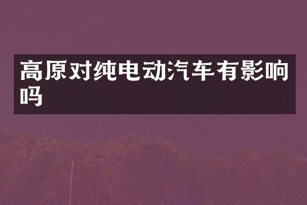 高原对纯电动汽车有影响吗