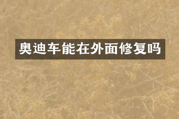 奥迪车能在外面修复吗