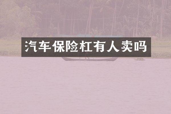 汽车保险杠有人卖吗