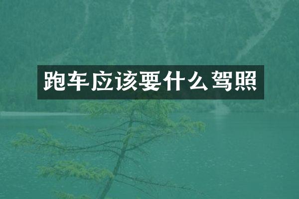 跑车应该要什么驾照