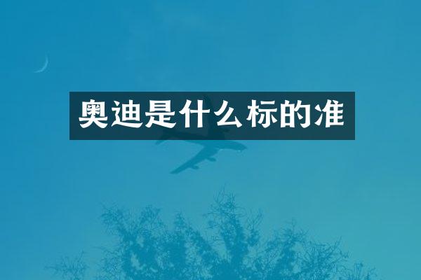 奥迪是什么标的准