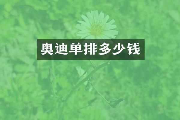 奥迪单排多少钱