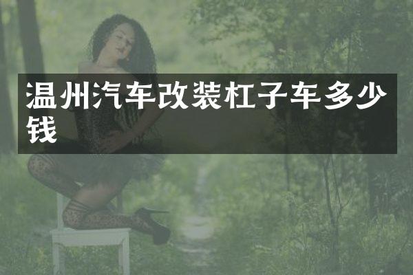 温州汽车改装杠子车多少钱