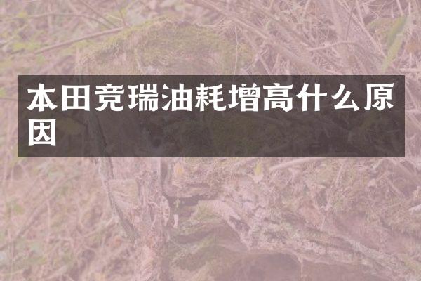 本田竞瑞油耗增高什么原因