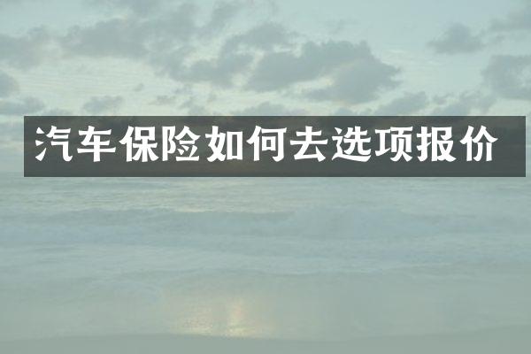 汽车保险如何去选项报价