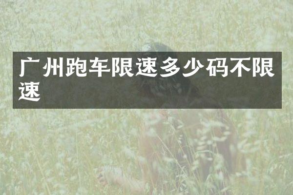 广州跑车限速多少码不限速