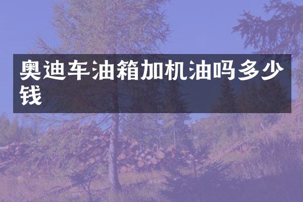 奥迪车油箱加机油吗多少钱