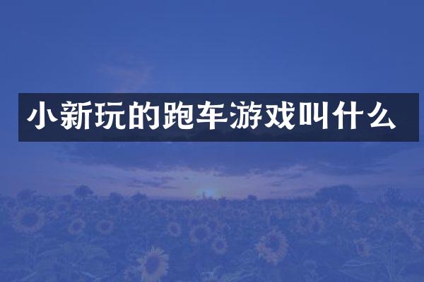 小新玩的跑车游戏叫什么