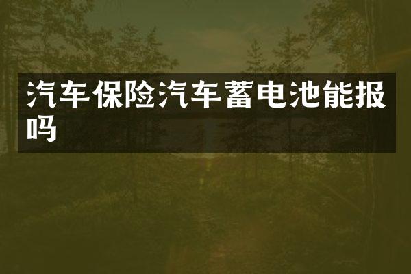 汽车保险汽车蓄电池能报吗