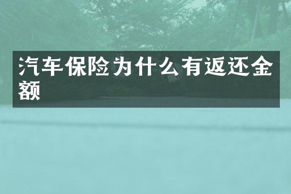 汽车保险为什么有返还金额